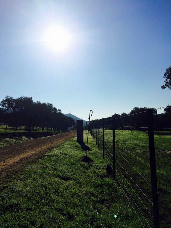 Vivienda Rural El Ejido Villa El Real de la Jara Kültér fotó